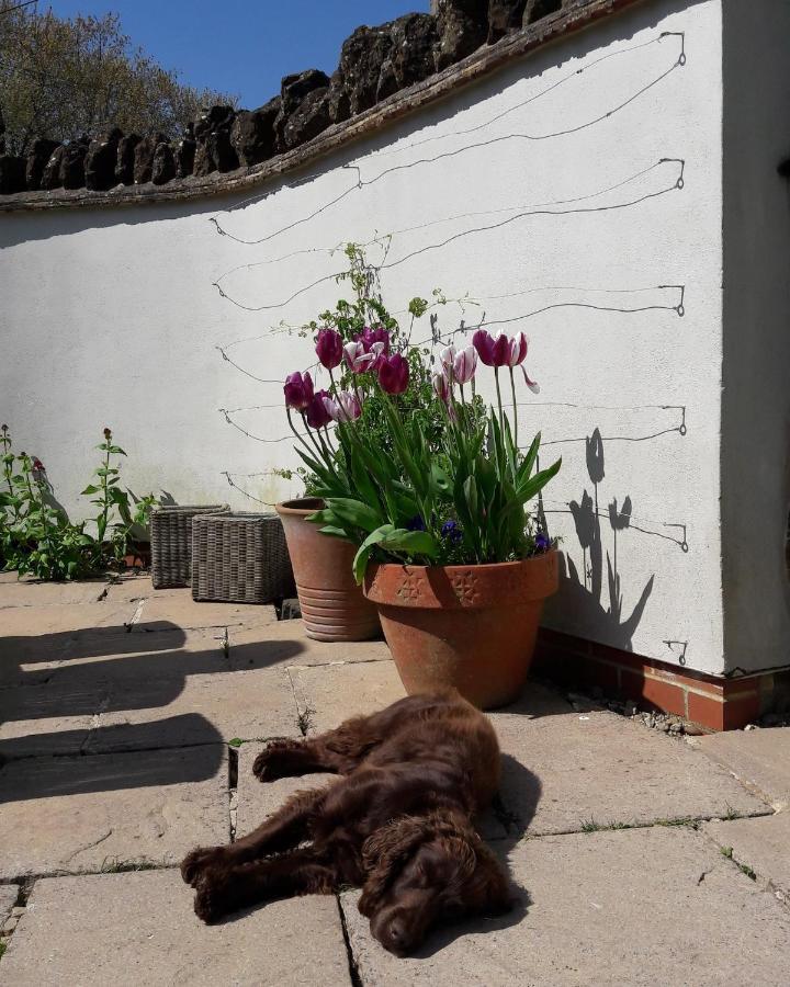 Wayside House B&B Whichford Εξωτερικό φωτογραφία