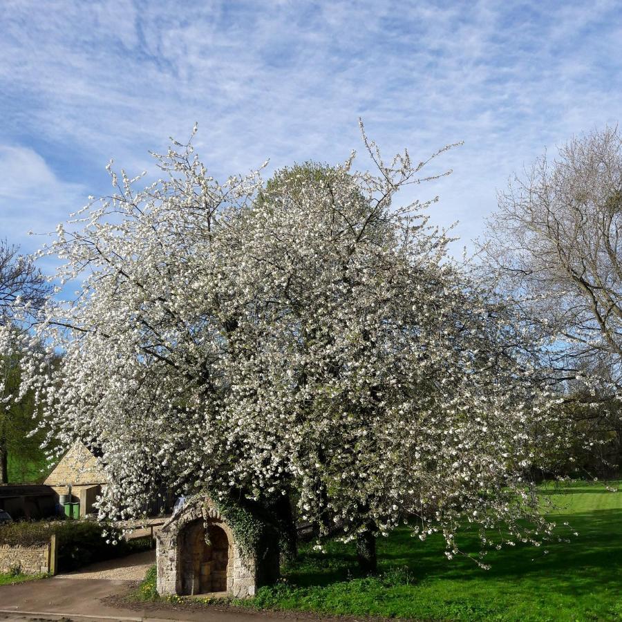 Wayside House B&B Whichford Εξωτερικό φωτογραφία